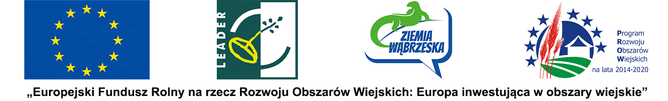 Logo wnioski