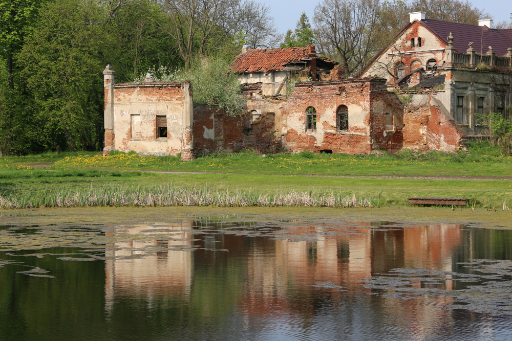 Niedzwiedz 1 palac nad woda