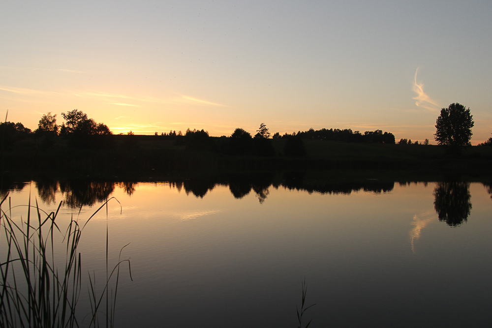 Kilanowska lato (2)  Osieczek 25.08.2016